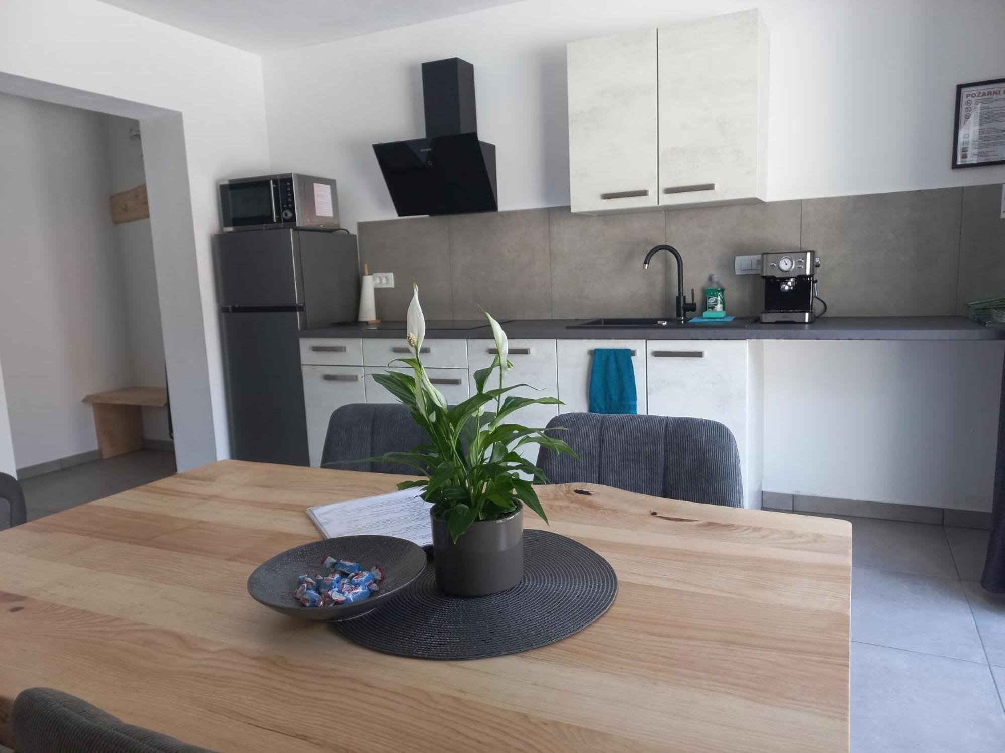 Hisa Za Gradom Appartement Kobarid Buitenkant foto